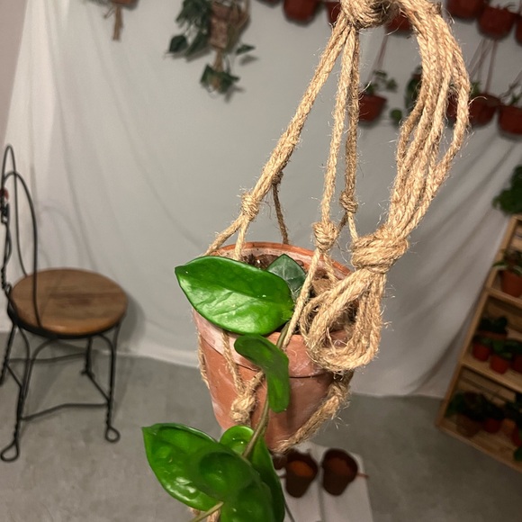 Plant Welcome Post!! 🪴🌱 - Picture 7 of 12